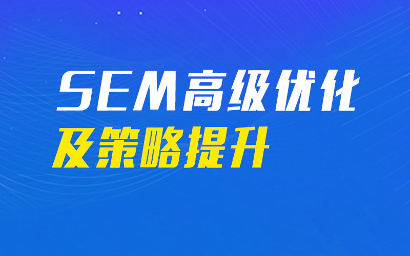 SEM高级优化策略及提升技能   讲师：老庄主课程封面