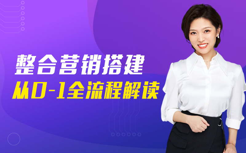 整合营销搭建从0-1全流程解析  讲师：张凯课程封面